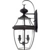 Quoizel Newbury Outdoor Wall Lantern NY8317Z